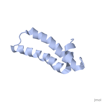 IgD (Ig delta chain C region) Polyclonal Antibody - 50 ul