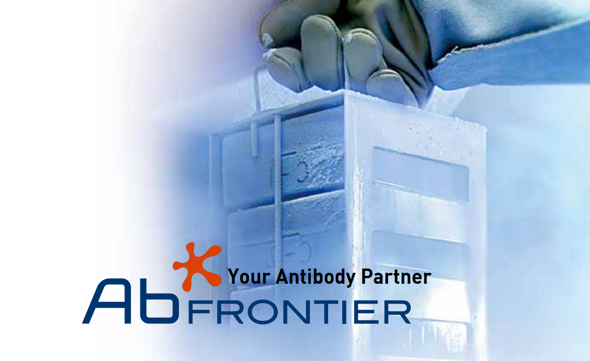 Anti-HMGCR Antibody Picoband™-100?g/vial