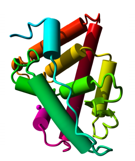Human Thyroid Total RNA - 0.025mg